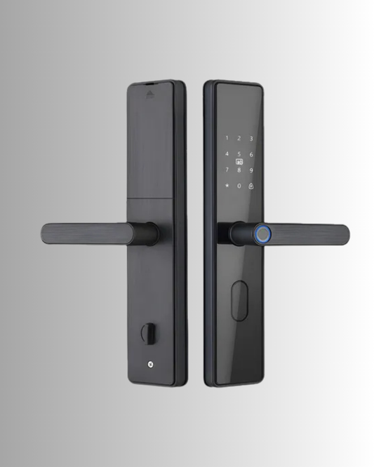 CERRADURA INTELIGENTE DGB01